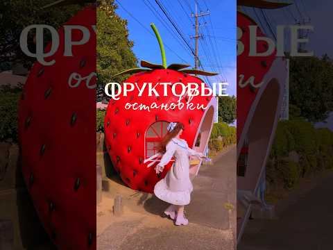 Ждать своего автобусе в дыне или арбузе. Классно же❓