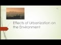Urbanization and Its Impacts