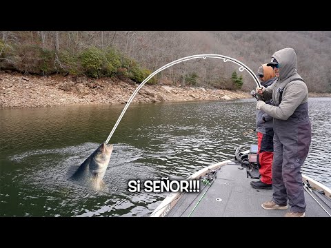 Pescando Especies Nuevas En Laguna Secreta!!