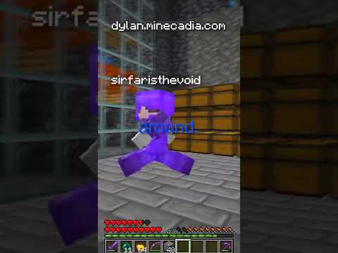 INVIS Raiding the RICHEST Base on the Lifesteal SMP!