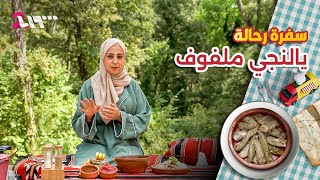من قلب غابات الفرلق .. يالنجي ملفوف على الأصول | سفرة رحالة