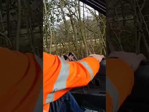shooting game birds with a catapult