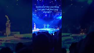 Festival of the Lion King: Can you Feel the Love Tonight scene #festivalofthelionking