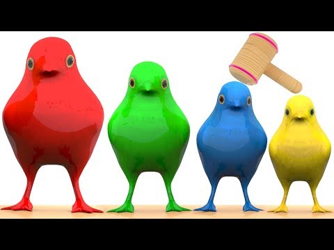Animales para niños | Aprende los coloridos pollitos y las canciones infantiles xilófono para niños