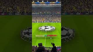 Fenerbahçe - Benfica / Champions League Play off Match #fenerbahçe #binnaz #kadıköy #fenerbahce