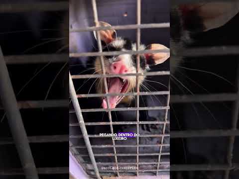 Essa família deu trabalho! 🙆♂️