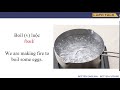 Understanding the Transcript