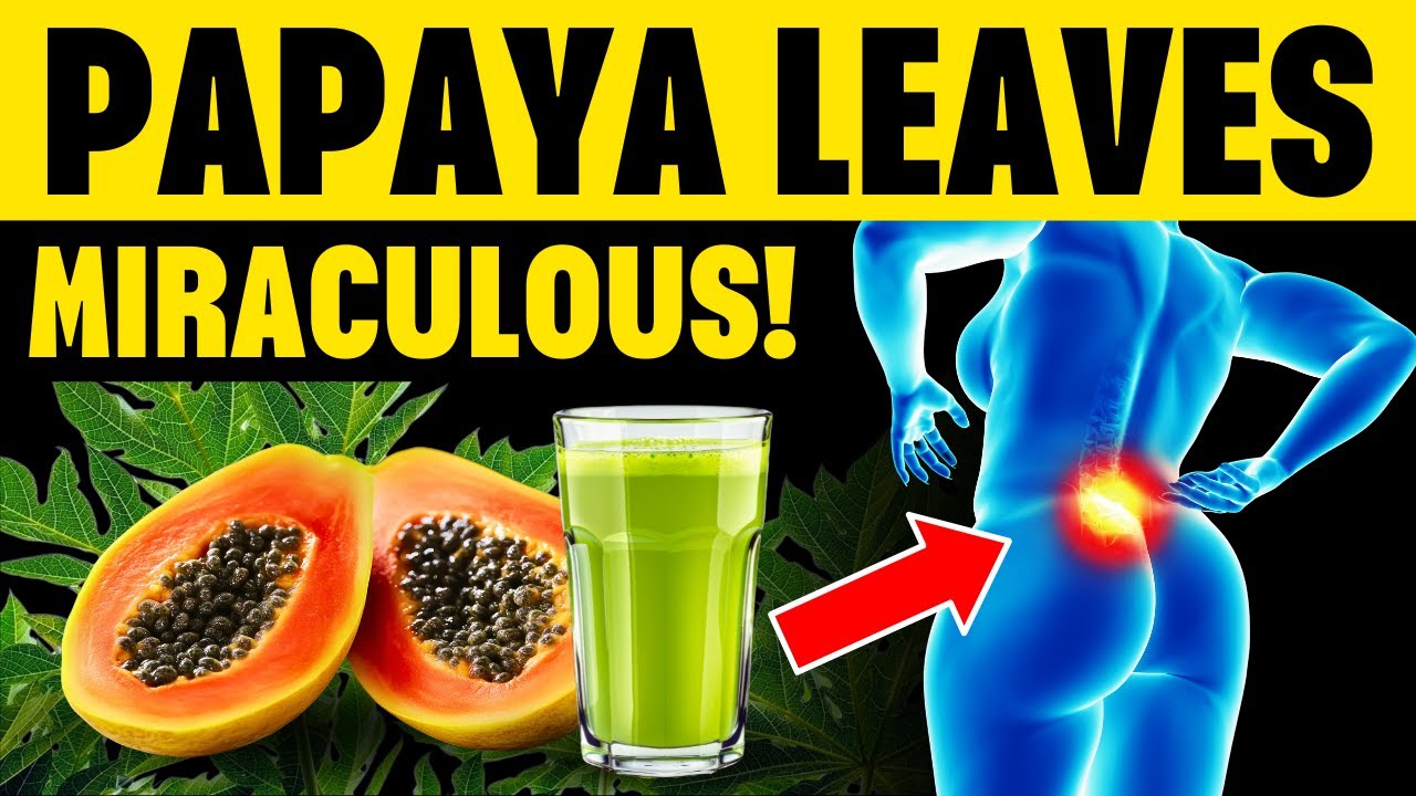 11 Surprising Benefits of Papaya Leaves