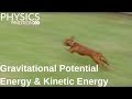 Exploring Gravitational and Kinetic Energy Concepts