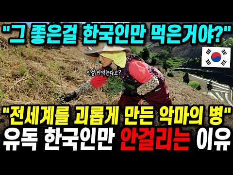 전세계를 괴롭게 만든 악마의 병..🔥 유독 한국인만 안걸리는 이유 "그 좋은걸 한국인만 먹은거야?"