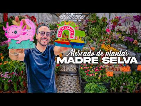 El MERCADO más GRANDE de PLANTAS y FLORES