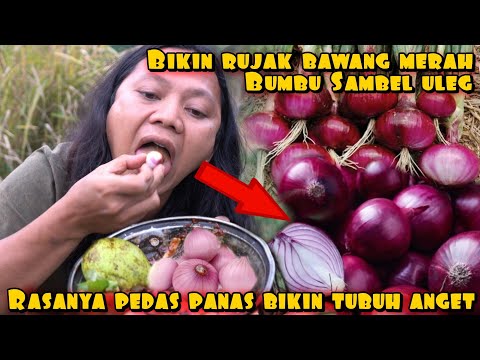 RUJAK BAWANG MERAH SAMBEL ULEG BIKIN TUBUH ANGET