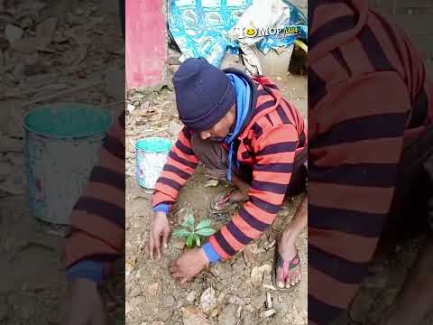 Рамазан садовод😂 #юмор