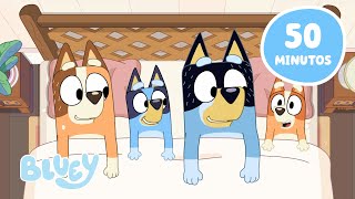🔴EN VIVO:  ¡Los momentos más divertidos de Bluey! 🤣 | 1 HORA ⭐️ | Bluey Español Canal Oficial