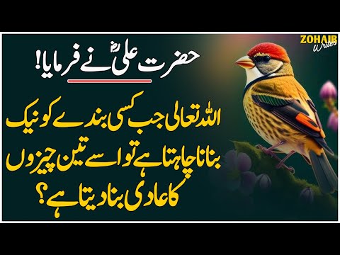 ALLAH Jab Kisi Ko Naik Banana Chahta Hai Tu? | Hazrat Ali (R.A) Ne Farmaya | Zohaib Writes | 2025