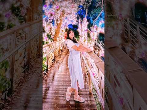 #大古山步道 #桃園景點 #桃園旅遊 #桃園蘆竹 2024桃園大古山登山步道公園 夏日奇幻涼爽賞夜景 蘆竹炫YA農遊季想要捕捉桃園最美的星空嗎？跟著我們一起來探索大古山步道的夜景攝影之旅吧！