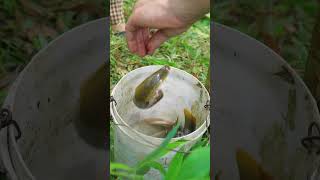 My relaxing fishing day #fishingadventure #relaxing