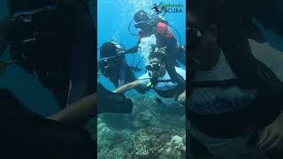 Why do we litter everywhere? At Least keep our ocean clean! #seahawksscuba #ReefCleanup #SaveOceans