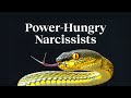 Understanding Power Dynamics and High-Conflict Personalities