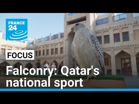 YouTube video thumbnail: Kingdom of Falcons: Qatar's Lucrative Hobby and National Sport