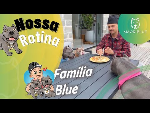 Nossa Rotina no Campo 🌳 Maori , Nuhri e Marê 🐾 Tiberio e Jandira 🐮e as Galináceas 🐔