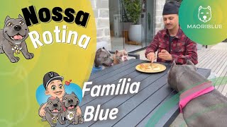 Nossa Rotina no Campo 🌳 Maori , Nuhri e Marê 🐾 Tiberio e Jandira 🐮e as Galináceas 🐔