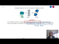 Chemical Calculations and Ratios