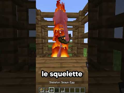 Ce Mob de Minecraft est Problématique ?
