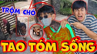 Thái Chuối Bị Trẻ Trâu Trộm Mất Thú Cưng Giữa 12H Trưa!