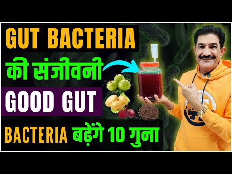 10x Your Good Gut Bacteria's Population | Best Homamade Drink For Gut Bacteria in Hindi | Ram Verma