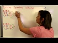 Scientific Notation Operations