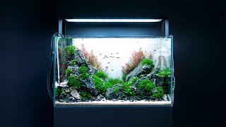 Creating a GIANT MOUNTAIN Valley Aquascape in 60 liters