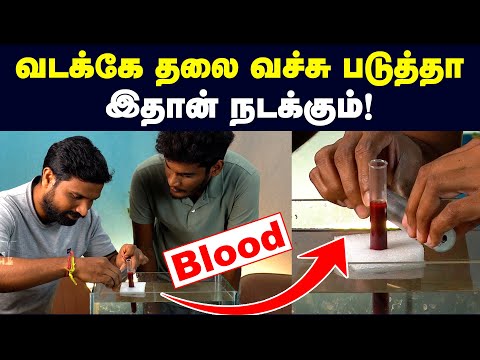Test பண்ணியே பாத்தாச்சு: வடக்கு படுத்தா மூளை பாதிக்குமா? | Do Earth's magnetic field affect brain