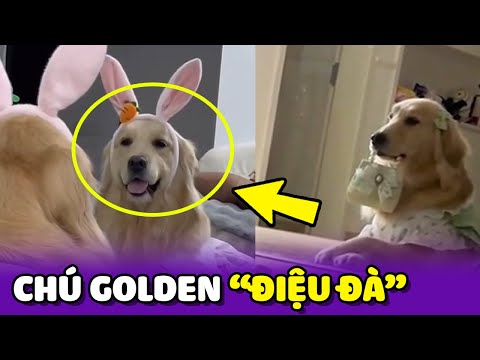 Nàng Golden điệu đà nhất Mạng xã hội 🥰