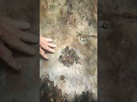 Fiebre del oro submarina: ยกMe hice rico en un arroyo secreto!