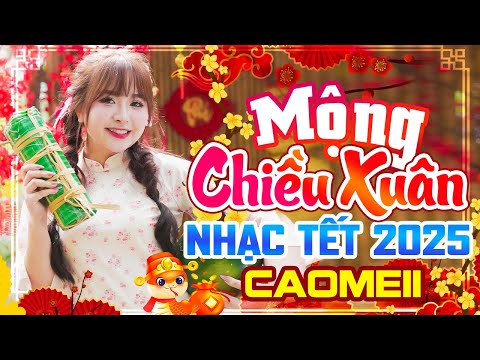 Mộng Chiều Xuân Remix - Nhạc Tết Remix 2025 - Nhạc Xuân Ất Tỵ