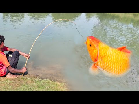 Fishing Video || The sons of fishermen are skilled at catching fish in any water body | Hook fishing