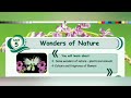 Insect and Plant Behavior