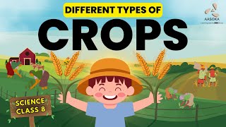 Types of Crop | Crop Production and Management | Science Class 8 | NCERT | CBSE | AASOKA