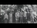 Conservation and Environmental History