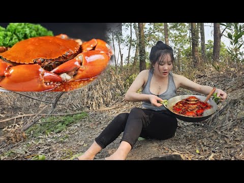 Cooking steamed crab with lemongrass and chili | Survive alone in the natural forest:Tropical forest