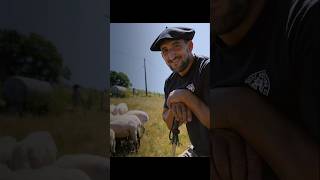 EL DRAMA DE LOS PASTORES EN ESPAÑA 🇪🇸🐑