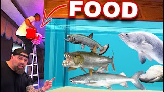 “INSANE Monster FISH Feeding in Giant Aquarium!”