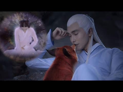 枕上书ep04速看版|凤九为救帝君被聂初寅骗走皮毛，凤九情不自禁偷吻帝君后”怀孕“？ 💖Eternal Love of Dream
