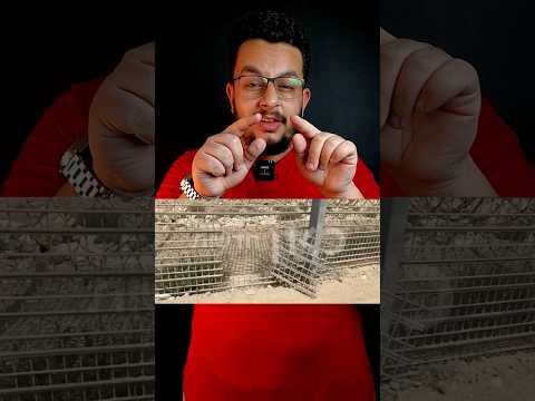 كيف تمكن الجندي المصري من تصفية 3 جنود إسرائيليين وعبور الحدود وحيداً ؟