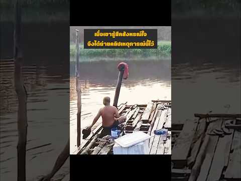 เมื่อเขารู้สึกสังหรณ์ใจ จึงได้ถ่ายคลิปเหตุการณ์นี้ไว้ #wildlife #animals #buaya #crocodile #shorts