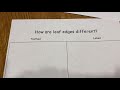 Leaf Identification and Characteristics