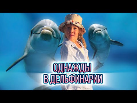 ЕВА ВПЕРВЫЕ В СОЧИНСКОМ ДЕЛЬФИНАРИИ.. БЕЛУХИ - ТОЛСТУХИ..
