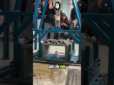 Suýt nữa thì vượt kỷ lục 😰