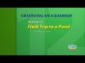 Pond Ecosystem Field Trip Activities